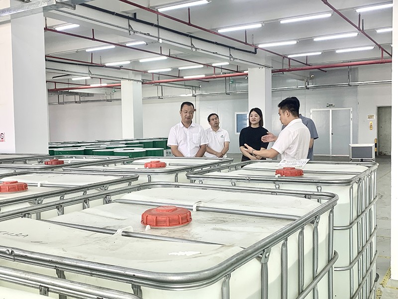 政企连心·共促发展|东莞市东城区政府领导莅临在线购买世界杯新材参观指导